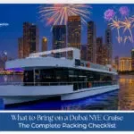 Dubai NYE cruise fireworks view skyline
